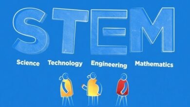 STEM