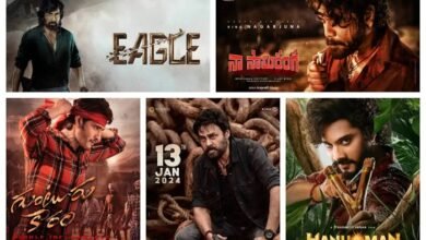 movie roles telugu (2024)