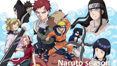 toonstream naruto season 1