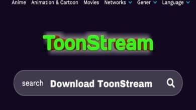 toonstream video downloader